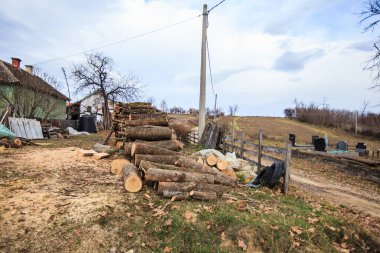 Kırsal tarım çiftliği, küçük bir köyde tarım sahnesi, sonbahar günü, bulutlu bir gökyüzü. 