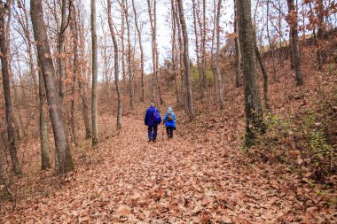 Sonbahar ormanında birkaç yürüyüş. Sağlıklı bir yaşam tarzı. Açık hava aktivitesi.