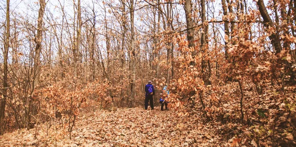 Caminhada Casal Floresta Outono Estilo Vida Saudável Actividade Exterior — Fotografia de Stock