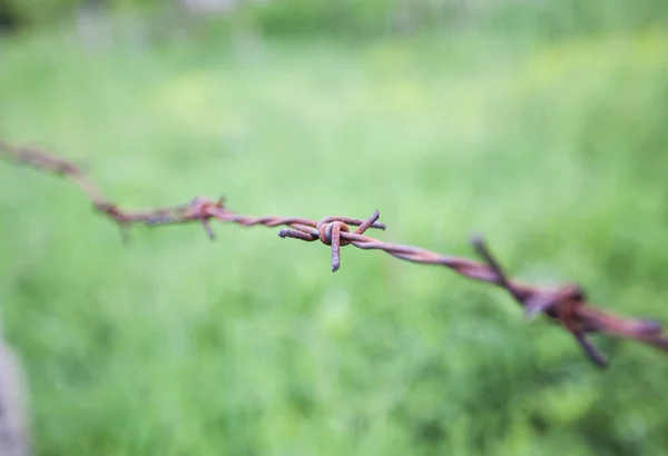 Barbed Wire Fence Migrant Crisis Freedom Concept — Stockfoto