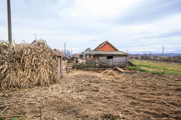 Maison Rurale Ferme Paysage Rural Village Serbie Journée Nuageuse Automne — Photo