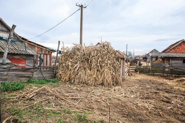 Rural Agricultural Farm Farming Scene — Stock Photo, Image