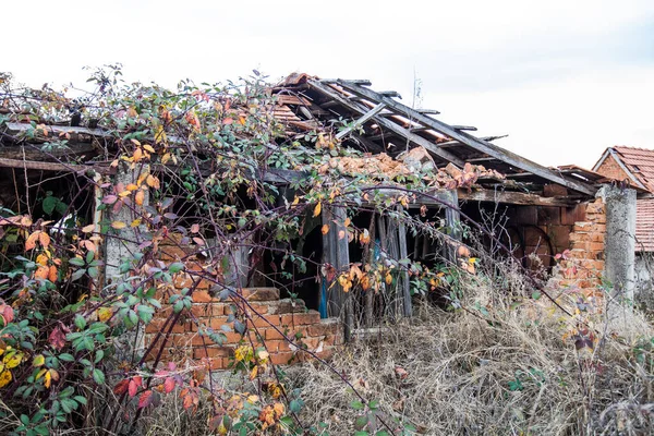 Ancienne Ferme Rurale Abandonnée Ruine — Photo