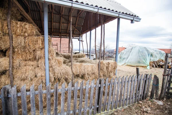 Kırsal Tarım Çiftliğinde Istiflenmiş Saman Balyaları Çiftçilik Sahnesi — Stok fotoğraf