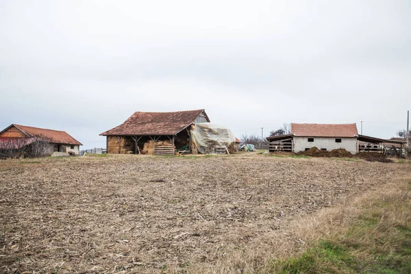 Venkovský Dům Farma Krajina Vesnice Srbsku Podzimní Zataženo — Stock fotografie