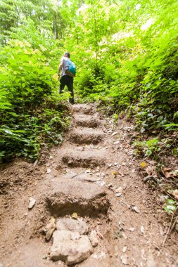 Sırt çantalı adam Bahar Ormanında Yürüyüş, Macera, Doğa, Keşif