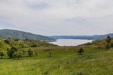 Tuna Nehri manzarası, bahar günü yeşil tarlalar..