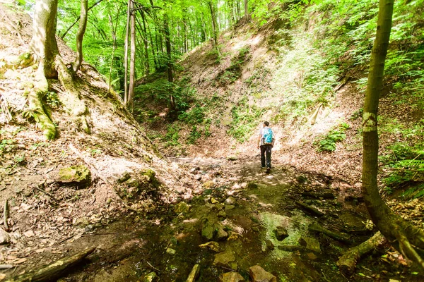 Homem Com Mochila Andando Floresta Primavera Aventura Natureza Explorar — Fotografia de Stock