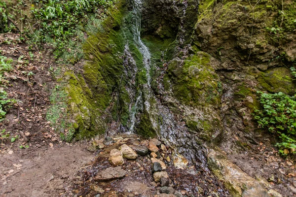 Schöne Aussicht Auf Geheimen Ort Frühlingswald Kleiner Wasserfall — Stockfoto