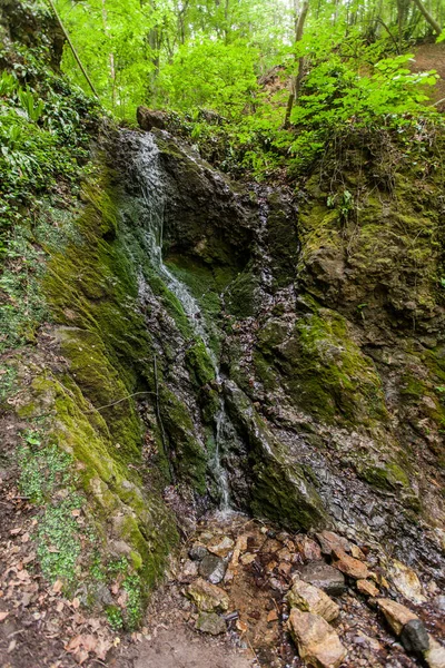 Beautiful view of secret place in Spring forest, small waterfall .