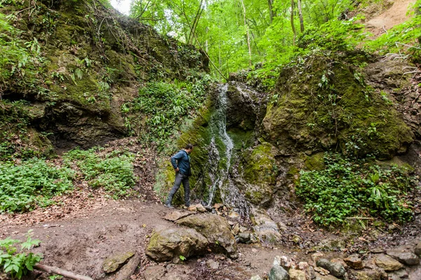 Man Hiker Spring Forest Waterfall Adventure Nature Explore — стокове фото