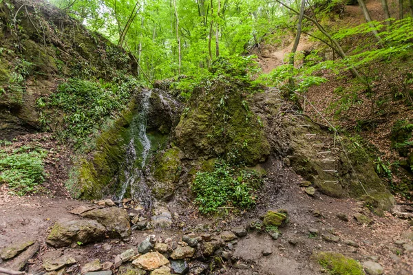 Beautiful view of secret place in Spring forest, small waterfall .