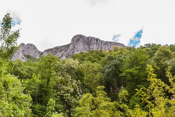 Belle Vue Sur Sommet Montagne Miroc Long Danube Serbie Orientale — Photo