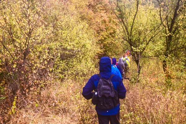 Les Gens Marchent Dans Forêt Jour Automne Brumeux Randonnée Découverte — Photo