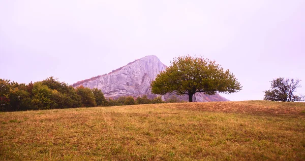 Hermoso Paisaje Montañoso Naturaleza Otoñal Este Serbia Parque Nacional Djerdap — Foto de Stock