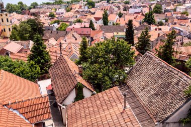 Eski şehir Zemun, Belgrad, Sırbistan, Avrupa 'nın panoramik manzarası, yaz günü