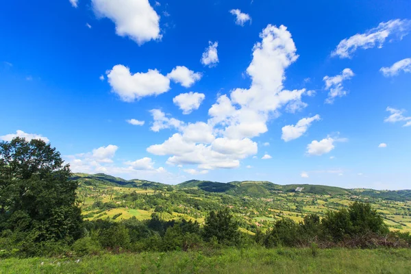 Красивый Вид Природу Летний День Свежий Воздух Удивительное Голубое Небо — стоковое фото