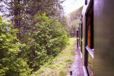 Dar ölçü demiryolu, Turist Çekimi, eski moda tren, doğa manzarası, Mokra Gora - Sırbistan