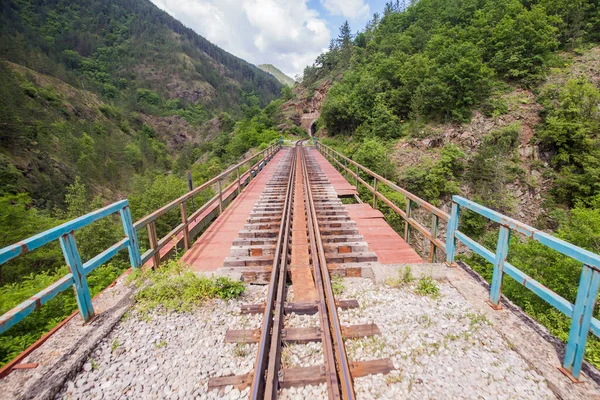Ferrocarril Vía Estrecha Atracción Turística Viajes Antiguos Luz Natural Paisaje — Foto de Stock