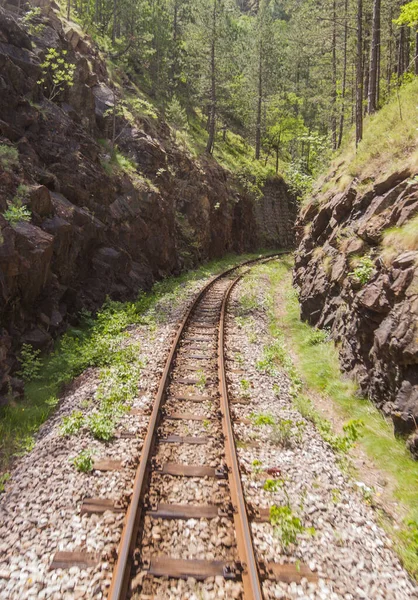 Úzkokolejná Železnice Turistické Atrakce Staromódní Cestování Přírodní Krajina Mokra Gora — Stock fotografie