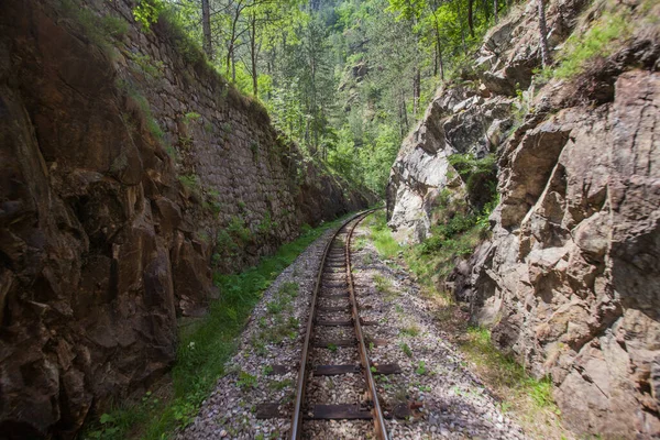 Trens Ferroviários Bitola Estreita Atração Turística Viagens Moda Antiga Paisagem — Fotografia de Stock