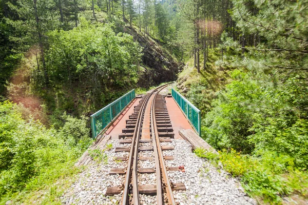 Ferrocarril Vía Estrecha Atracción Turística Viajes Antiguos Luz Natural Paisaje — Foto de Stock