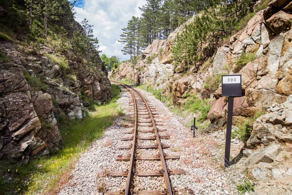 Narrow-gauge heritage railway,  Tourist Attraction, old-fashioned travel, nature landscape, Mokra Gora - Serbia