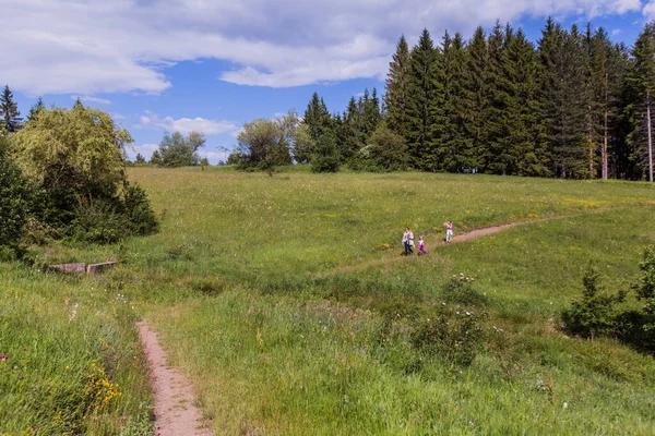Aile Güzel Çayırlarda Yürüyor Yaz Günü Doğa Manzarası — Stok fotoğraf
