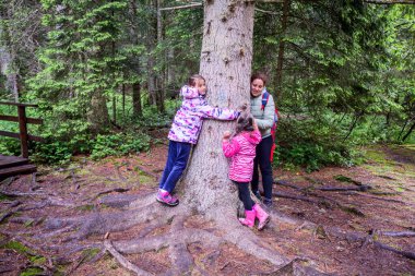 Anne ve kızları ormanda ağaca sarılıyorlar.