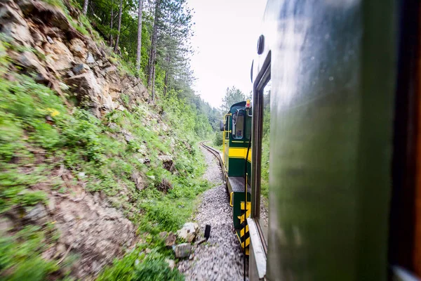 Chemin Fer Voie Étroite Attraction Touristique Voyage Train Ancienne Paysage — Photo