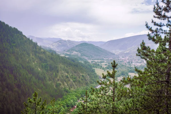 Beautiful Nature Landscape Summer Day Fresh Air Amazing View Cloudy — стоковое фото