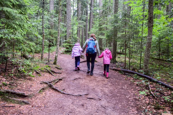 Familie Avontuur Mooie Zomer Bos Gezonde Actieve Levensstijl — Stockfoto