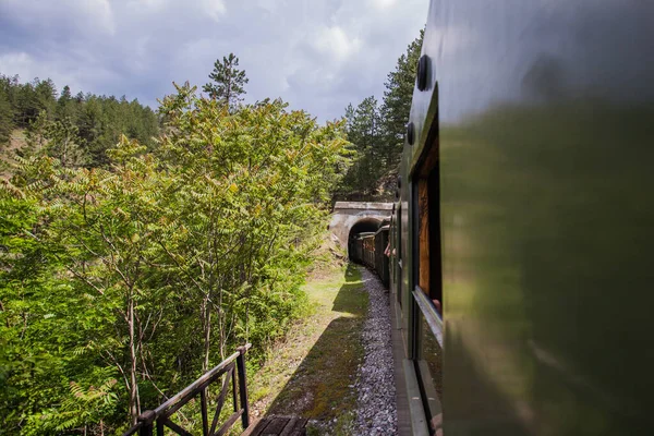 観光名所旅行 昔ながらの電車での旅 狭軌鉄道 自然景観 — ストック写真