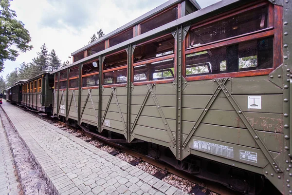 Attrazione Turistica Viaggio Viaggio Con Treno Vecchio Stile Patrimonio Ferroviario — Foto Stock