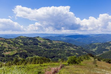 Güzel doğa manzarası, yaz günü, temiz hava, bulutlu muhteşem mavi gökyüzü..