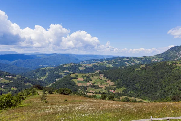 Hermosa Vista Del Paisaje Naturaleza Día Verano Aire Fresco Increíble — Foto de Stock