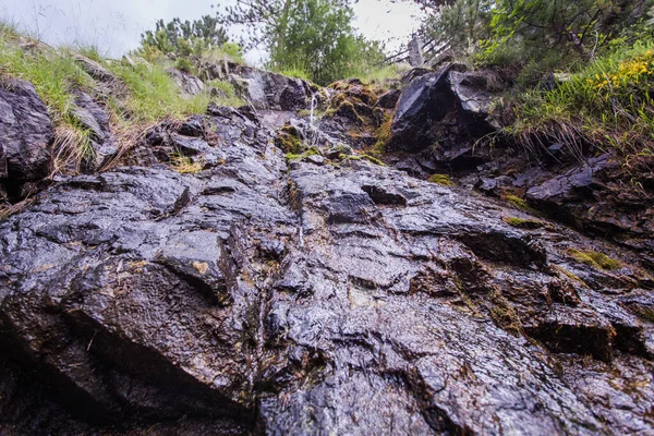 Helder Zoet Water Rotsachtige Boskreek Lentedag Natuur — Stockfoto