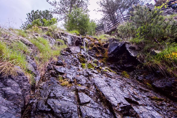 Čistá Sladkovodní Lesní Skalnatý Potok Jarní Den Přírodě — Stock fotografie