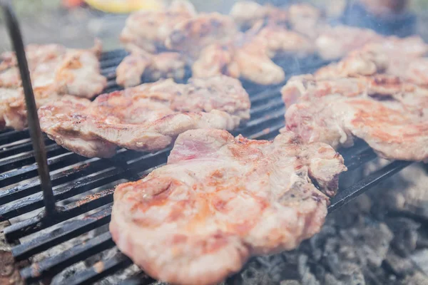 Carne Parrilla Picnic Verano Cocina Aire Libre —  Fotos de Stock