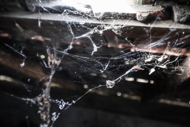 Eski terk edilmiş kırsal tavan arasında ürkütücü bir sahne, pencerelerde örümcekler ağı