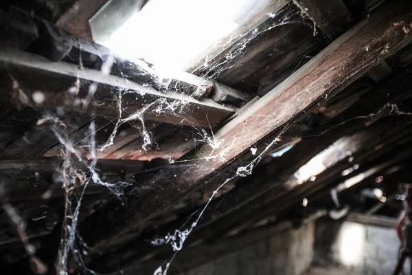 古老废弃的乡村阁楼上的恐怖场景 橱窗上的蜘蛛网 — 图库照片