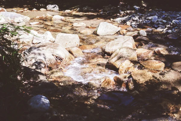 Gyönyörű Erdő Táj Patak Áramló Víz Mountain Creek Nyári Nap — Stock Fotó
