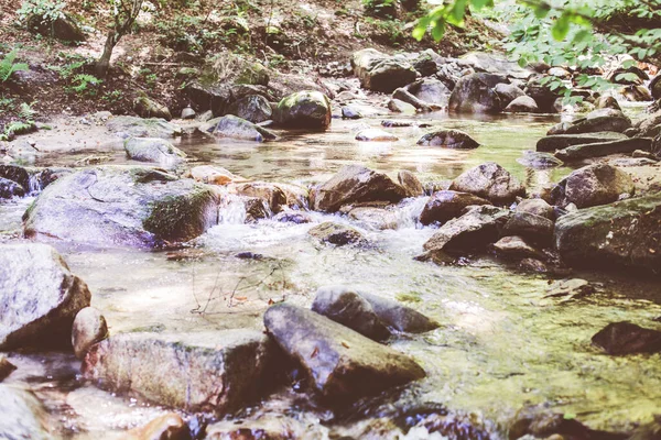 Beautiful Forest Landscape Stream Flowing Water Mountain Creek Summer Day — 스톡 사진