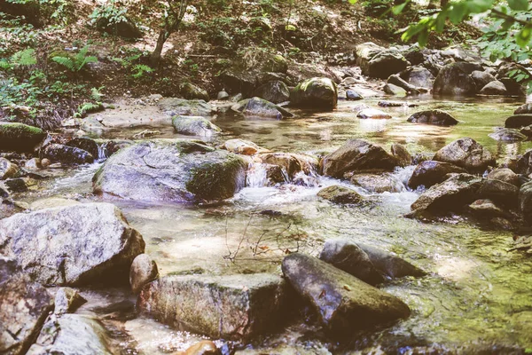 Красивый Лесной Пейзаж Ручей Текущей Воды Горный Ручей Летний День — стоковое фото