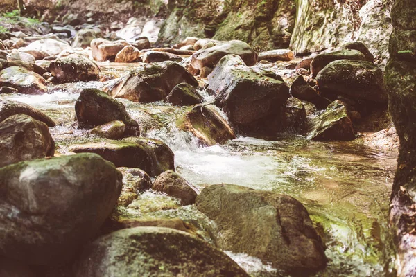 Gyönyörű Erdő Táj Patak Áramló Víz Mountain Creek Nyári Nap — Stock Fotó