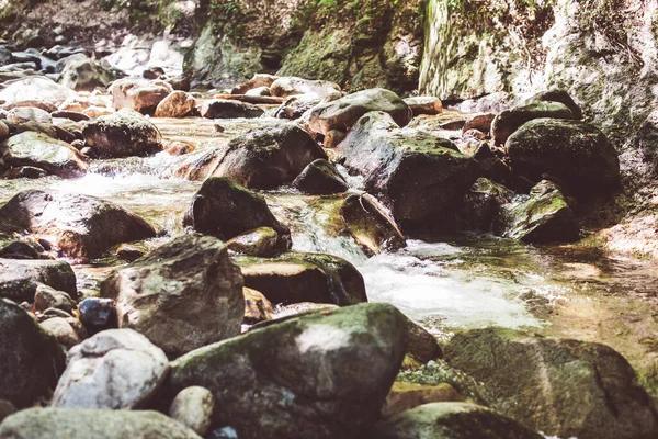 Gyönyörű Erdő Táj Patak Áramló Víz Mountain Creek Nyári Nap — Stock Fotó