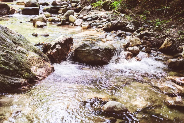 Gyönyörű Erdő Táj Patak Áramló Víz Mountain Creek Nyári Nap — Stock Fotó