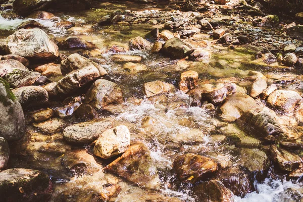Gyönyörű Erdő Táj Patak Áramló Víz Mountain Creek Nyári Nap — Stock Fotó