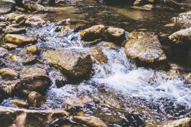Mountain River Akıntısı Yaz Ormanı 'ndan geçiyor. Temiz Su. Doğadaki Gün. Güzel Manzara 