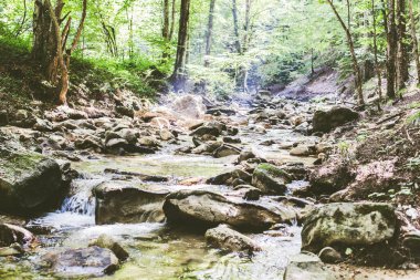 Mountain River Akıntısı Yaz Ormanı 'ndan geçiyor. Temiz Su. Doğadaki Gün. Güzel Manzara 